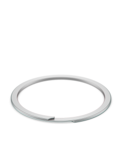 WH-100 image